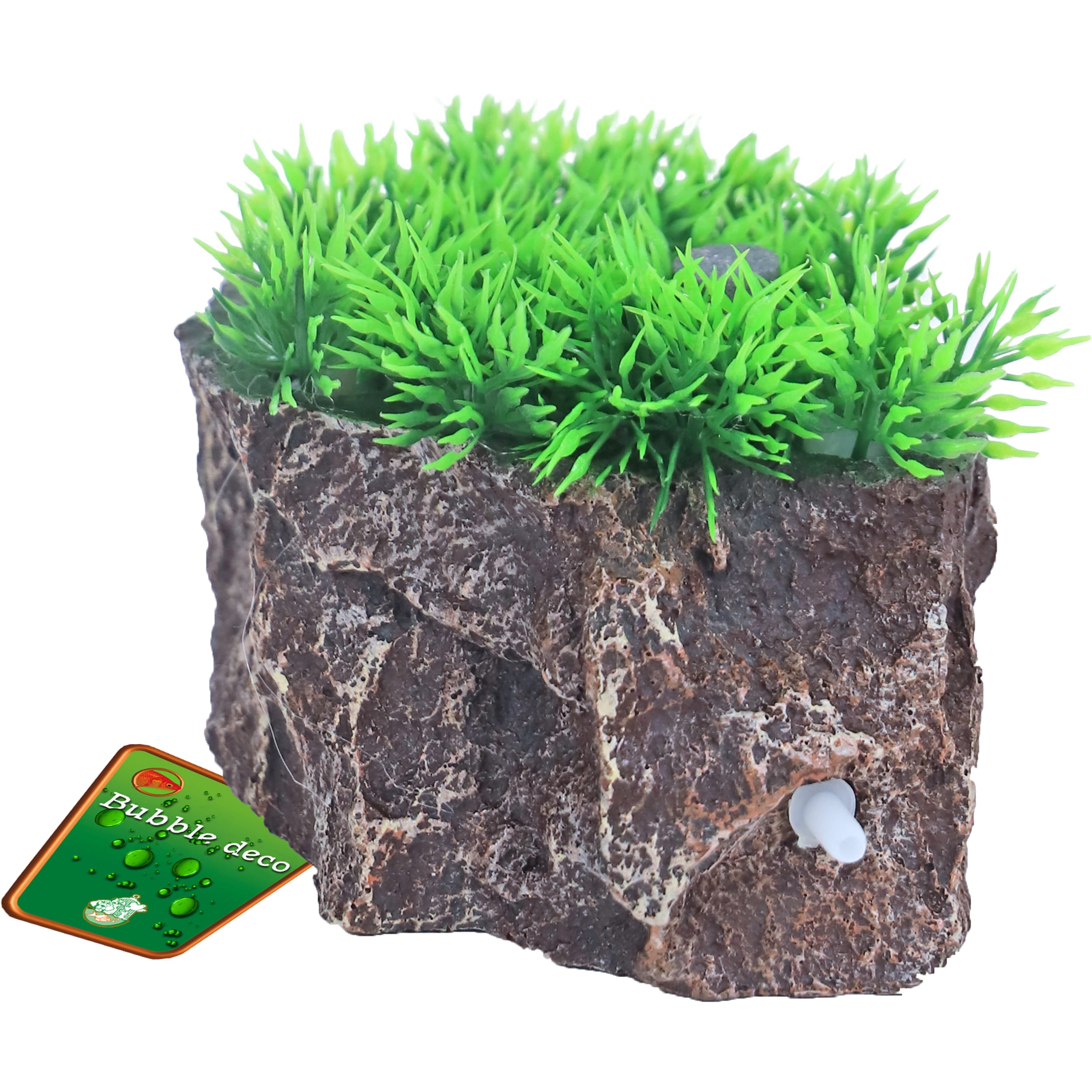Moss, Potted Plant, Soil, Grass, Planter