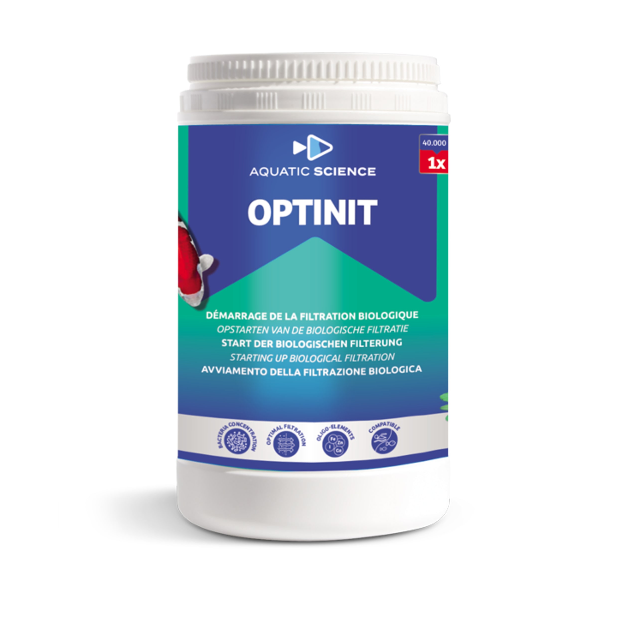 Herbal, Herbs, Plant