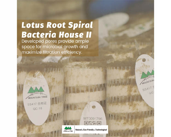 Advertisement, Poster