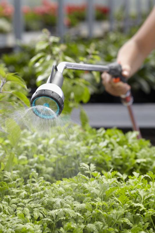 Garden, Nature, Outdoors, Gardening, Indoors