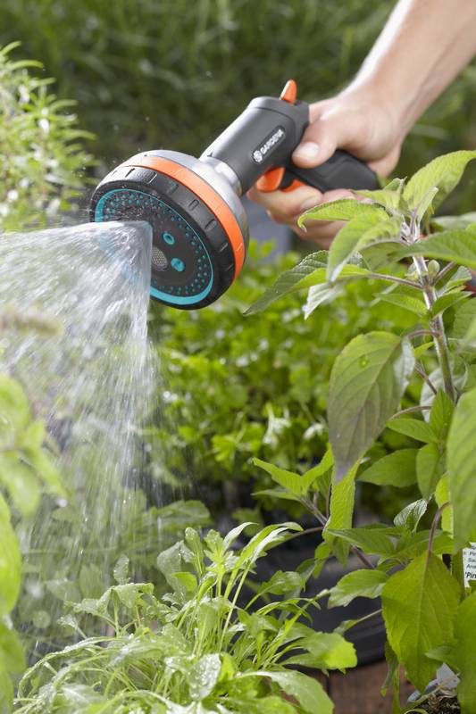 Garden, Nature, Outdoors, Gardening, Indoors