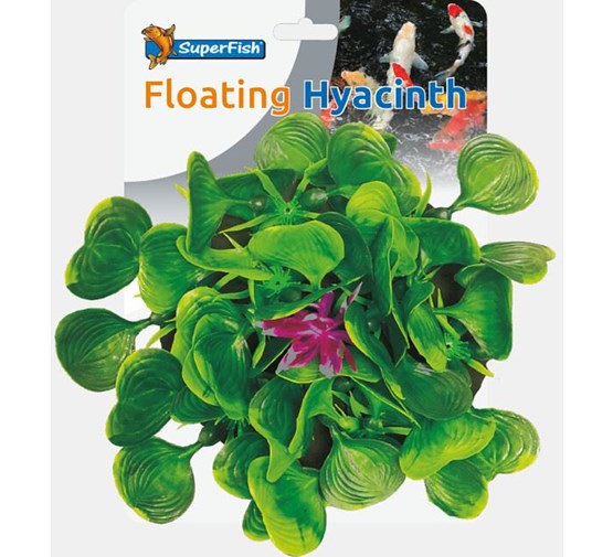 Pound deco water hyacinth
