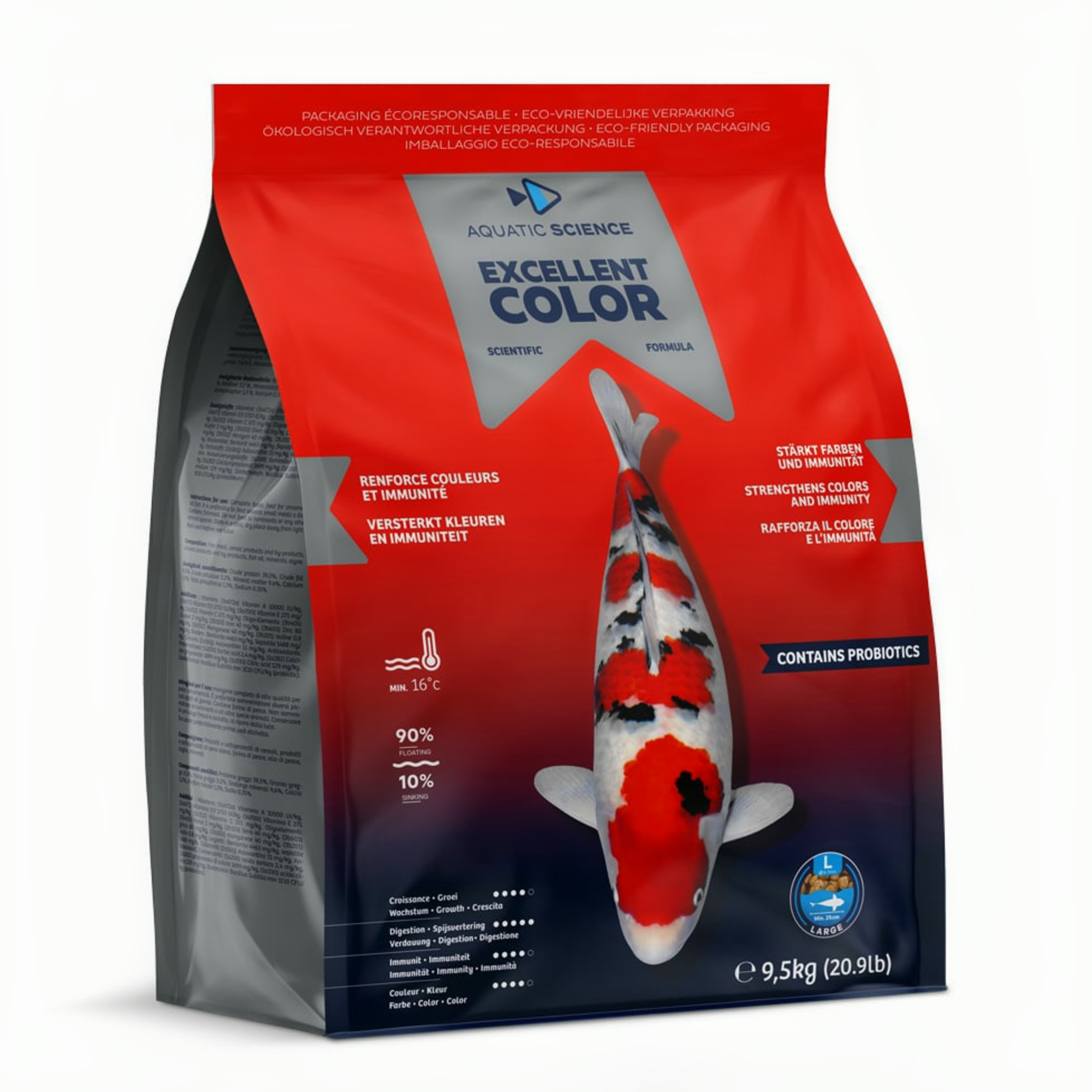 Animal, Carp, Fish, Sea Life, Koi