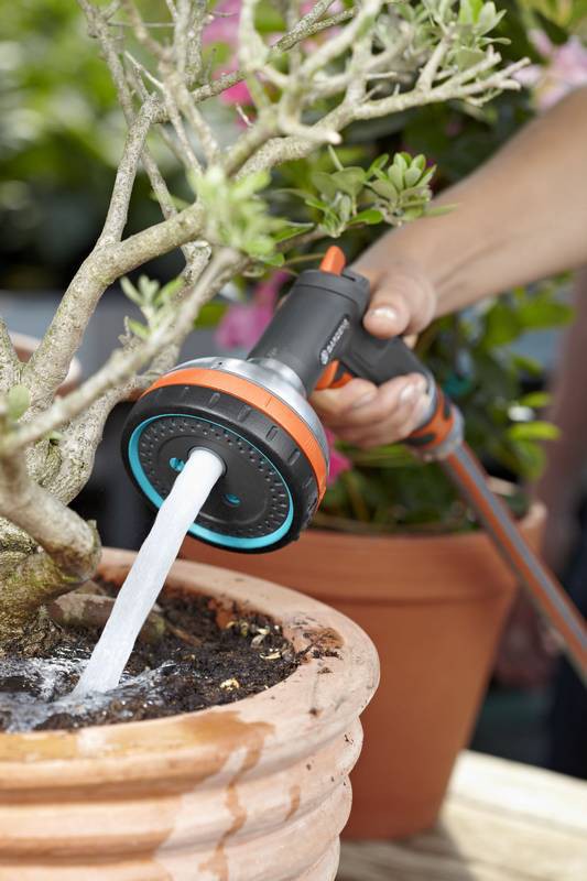 Garden, Nature, Outdoors, Potted Plant, Gardening